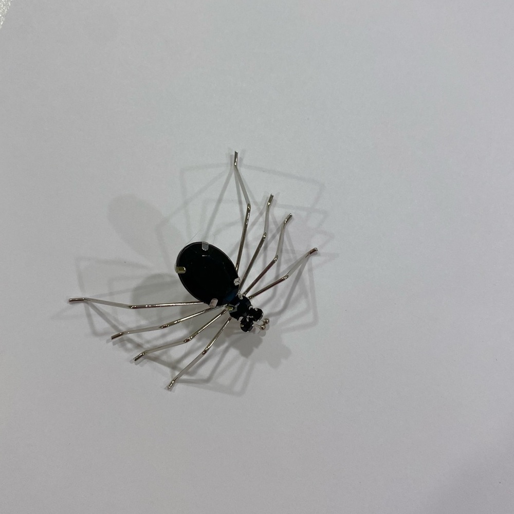 Spider brooch 🕷️